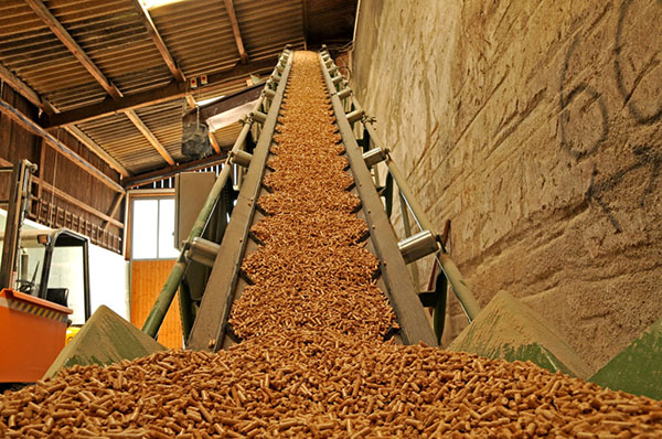 wood-pellets-new-york.jpg